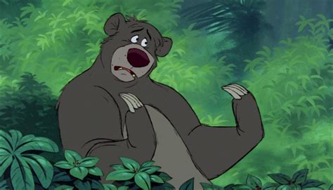 baloo the bear in the jungle book|what does baloo mean.